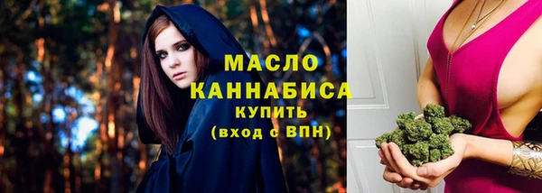 индика Новокубанск