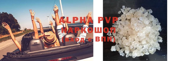 тгк Новодвинск