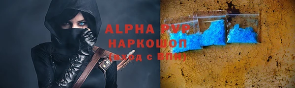 тгк Новодвинск