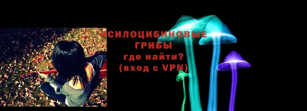 не бодяженный Няндома