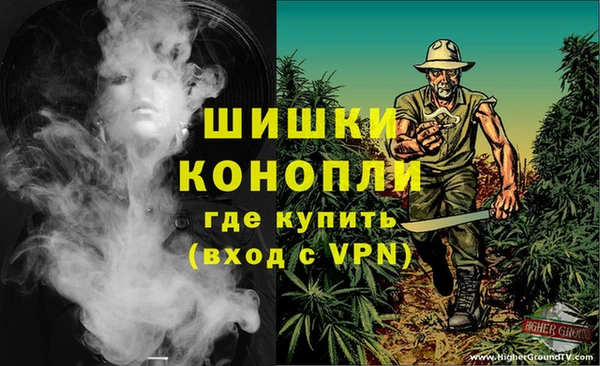 индика Новокубанск