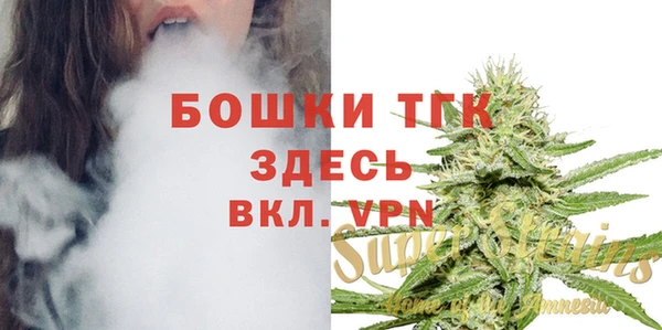 дурь Нягань