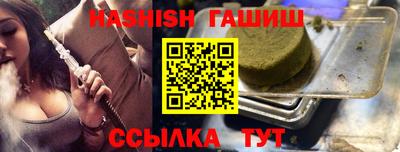 стаф Дубна