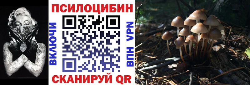 Псилоцибиновые грибы мицелий  Майский 