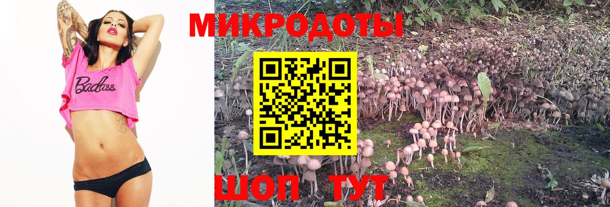 Галлюциногенные грибы MAGIC MUSHROOMS Майский