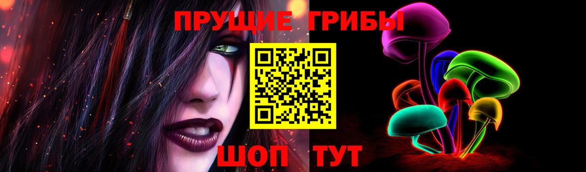 Псилоцибиновые грибы прущие грибы  Вход с VPN  Майский 